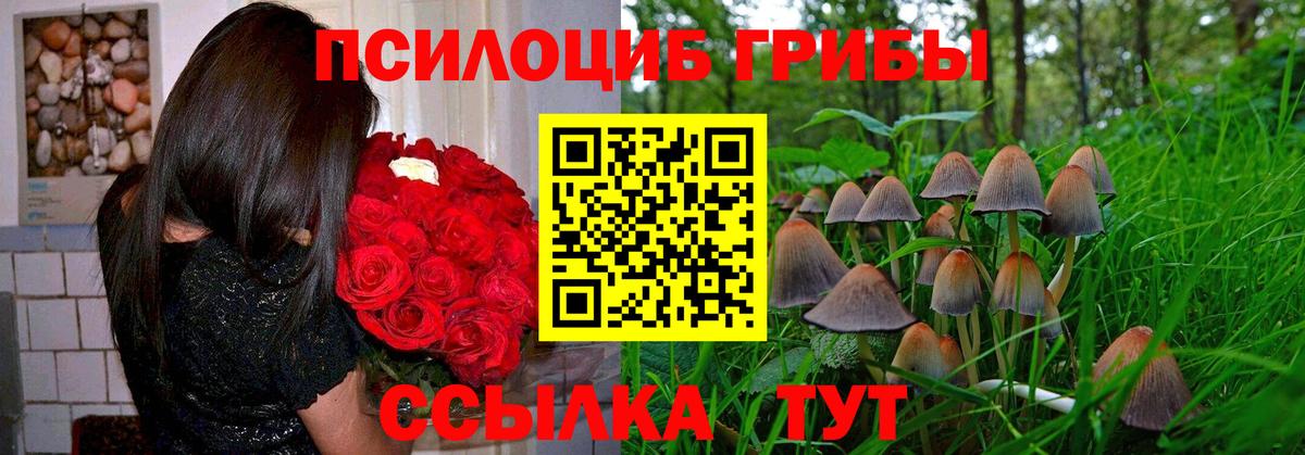 Галлюциногенные грибы мицелий  цены   Гусиноозёрск  Вход с VPN 